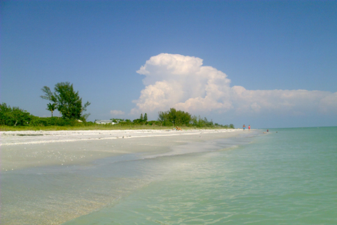 local beach